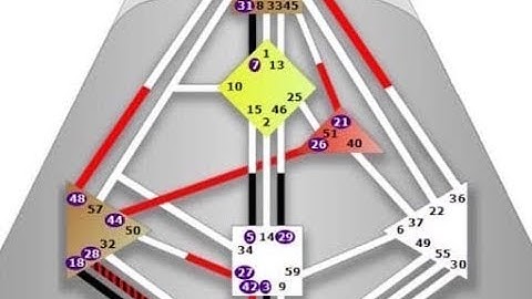 Projector Life #5 with Dani Tollemache - 3/5 Splenic Projector on the Cross of the Unexpected