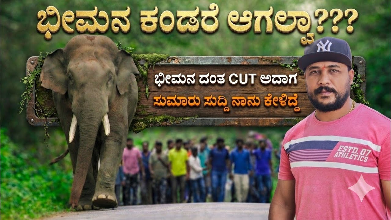ಭೀಮಾ ಮೇಲೆ ಕೋಪ ಇರುವುದು ಸತ್ಯ❓💰❌ 20 ಲಕ್ಷ ಕೊಟ್ಟರೆ ಆನೆಯನ್ನು ಗುಂಡಿಕ್ಕಬಹುದಾ❓2–3 ವರ್ಷ ಆನೆಗಳು ಹೆಚ್ಚಾಗುತ್ತವೆ 