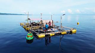Cuma Di Sini Rumah Rakit Di Tengah Laut Tanpa Ombak Hasil Mengejutkan