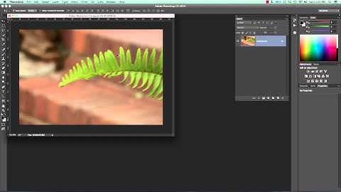 Using the Shake Reduction Filter in Photoshop CC 2014