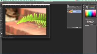 Using the Shake Reduction Filter in Photoshop CC 2014