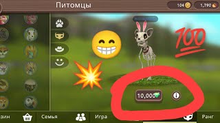 Баг как купить эксклюзивного питомца! Нашла этот баг САМА! WildCraft