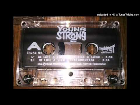 Young But Strong / In Like A Lion〜 koco