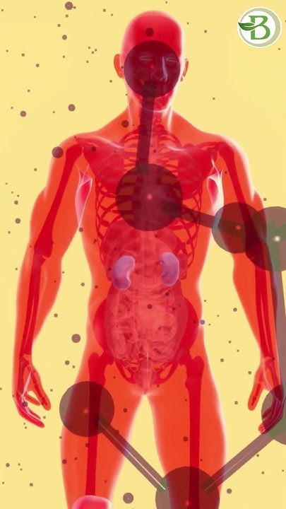 salt-and-kidney-disease-which-salt-is-good-for-kidney-patients