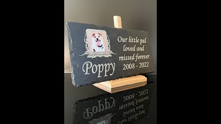 Large Outdoor Pet Memorial Plaque with Photo 40cm x 20cm Sold by 1st 4 Signs