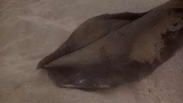 chuyên cung cấp cát thạch anh ,cát khuôn đúc,than hoạt tính chất lượng