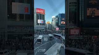 🎷❤️ 🎷Beautiful Jazz Night | Relaxing Evening Music (90 Min)❤️ #relaxingmusic #music #relaxnightjazz