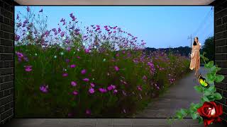 I Want To Know What Love Is  Richard Clayderman