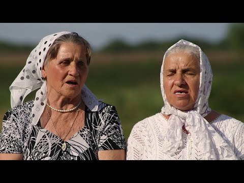Ставропольская шинкарочка