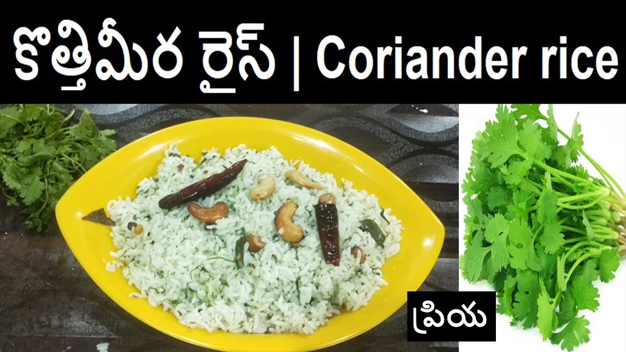 corianderrice కొత్తిమీర రైస్ Coriander rice recipe in Telugu YouTube