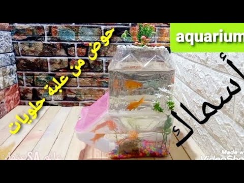 طريقة عمل حوض سمك في المنزل من علب حلويات الاطفالFish tank made of plastic pots