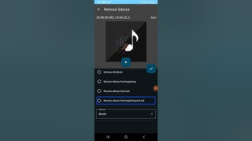 Remove Silence with Audio Lab: Enhance Your Voice for Blind People🔥🔥