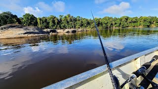 We Caught THE STRONGEST FISH IN THE AMAZON RAINFOREST!! (Sick Eats)