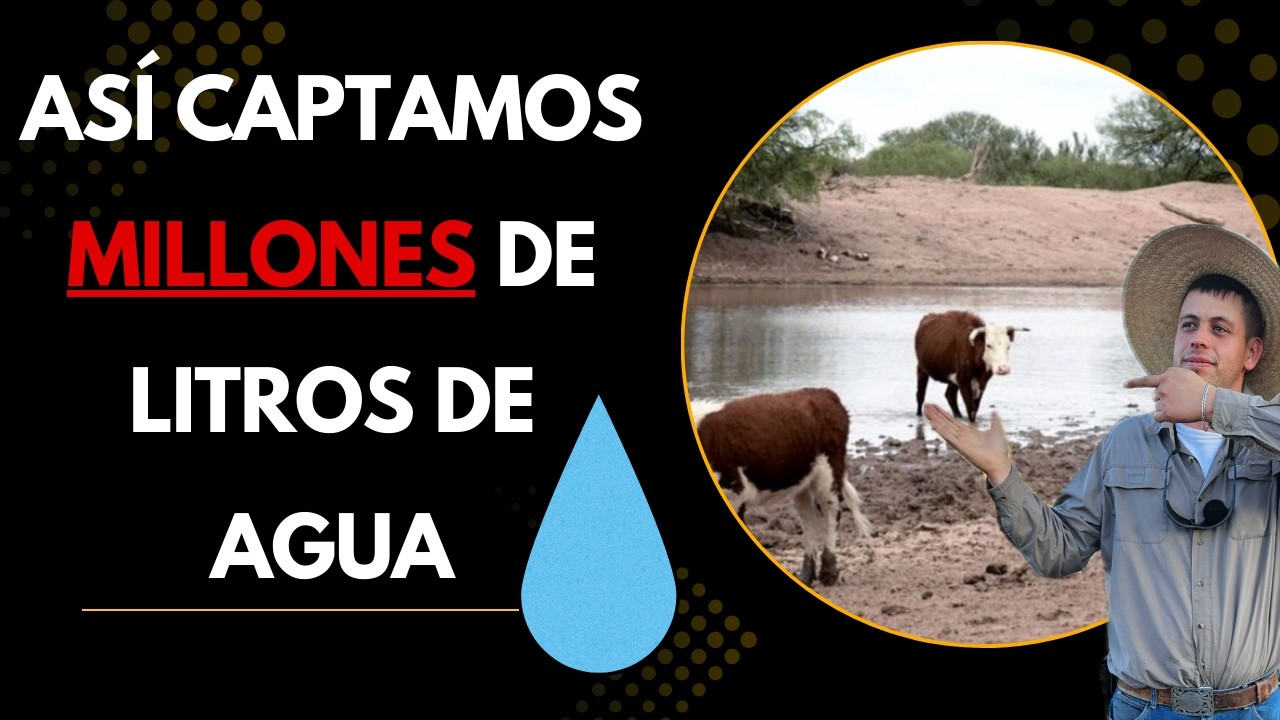 ASÍ CAPTAMOS MILLONES de LITROS de AGUA | PREPARANDONOS para TEMPORADA de SEQUÍA | RancheandoAndo