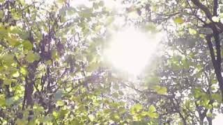 Colección Errepė 2019 De Peralta 12