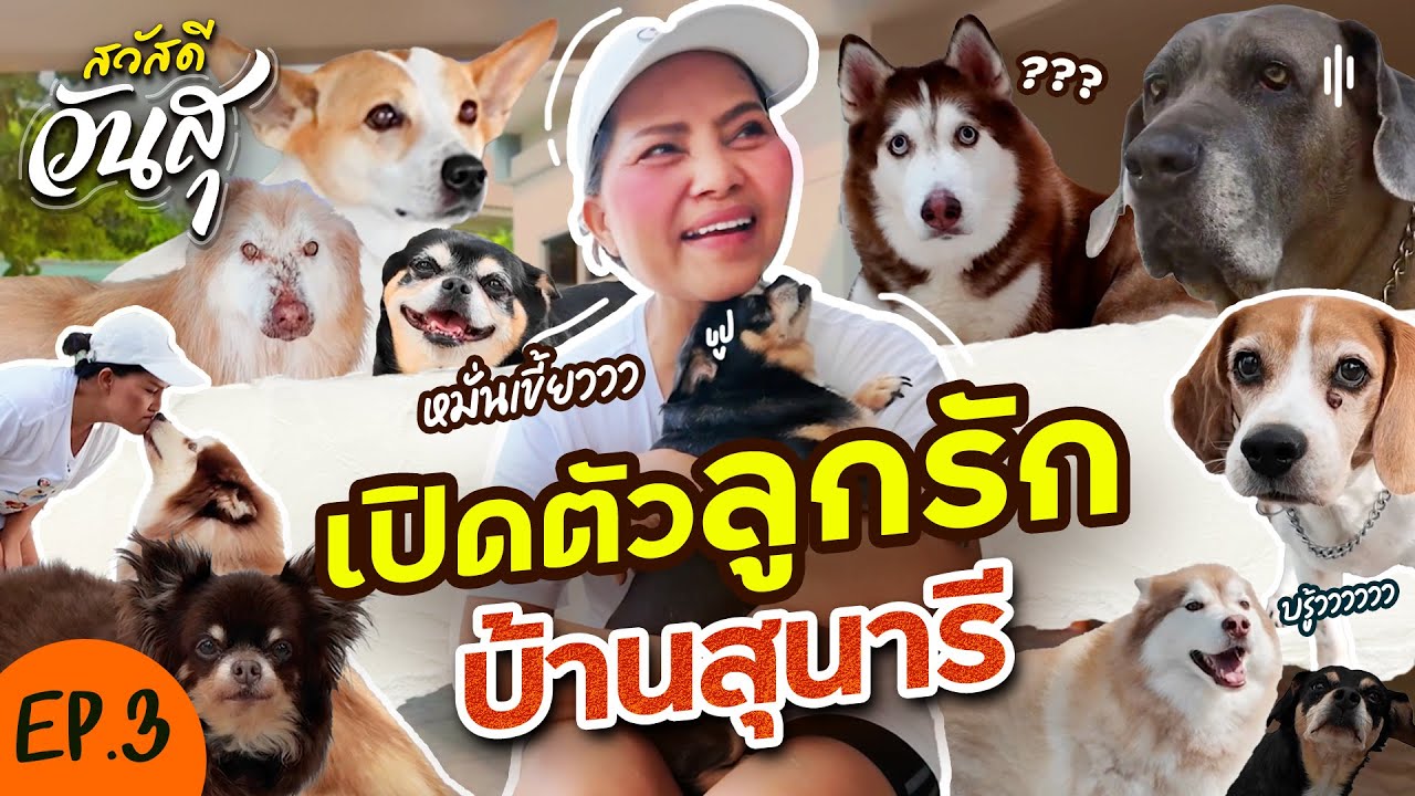 สวัสดีวันสุ | EP.3 เปิดตัวลูกรัก บ้านสุนารี