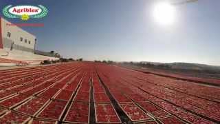 Pomodori Di Sicilia Essiccati Al Sole - Agriblea