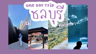 vlog 🚙 one day trip ชลบุรี คาเฟ่, ตลาดปลา, Aquarium 🐬 | nusyeon