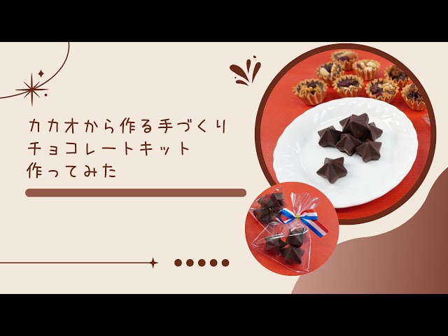 カカオから作る手づくりチョコレートキット作ってみた♪ - YouTube