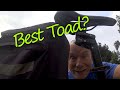 Best Toad for your small RV