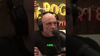 AI's Dangers  Experts Warn of a Devastating Future #jre #jrefunnymoments #joerogan