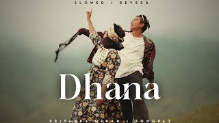 Dhana - Priyanka Mehar | Rongpaz | Garhwali Song | Lofi Editz | Slowed + Reverb