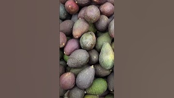قران كريم الشيخ سعود الشريم