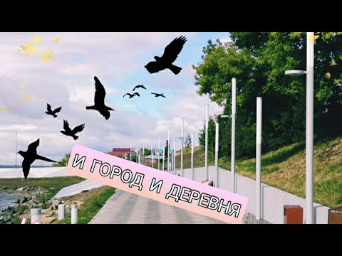 ТАТАРСТАН Заинск. ГОРОД И ДЕРЕВНЯ