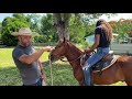 Agradecimiento de un bonito detalle, y caballo de andadura resabiado...