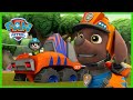 Over 1 Hour Of Zuma Rescue Episodes PAW Patrol Cartoons For Kids 