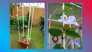 Details and FREE tutorial available at: http://bit.ly/ContainerTrellis.