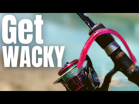 3 WACKY RIG Tips That Will IMPROVE Your BASS FISHING 
