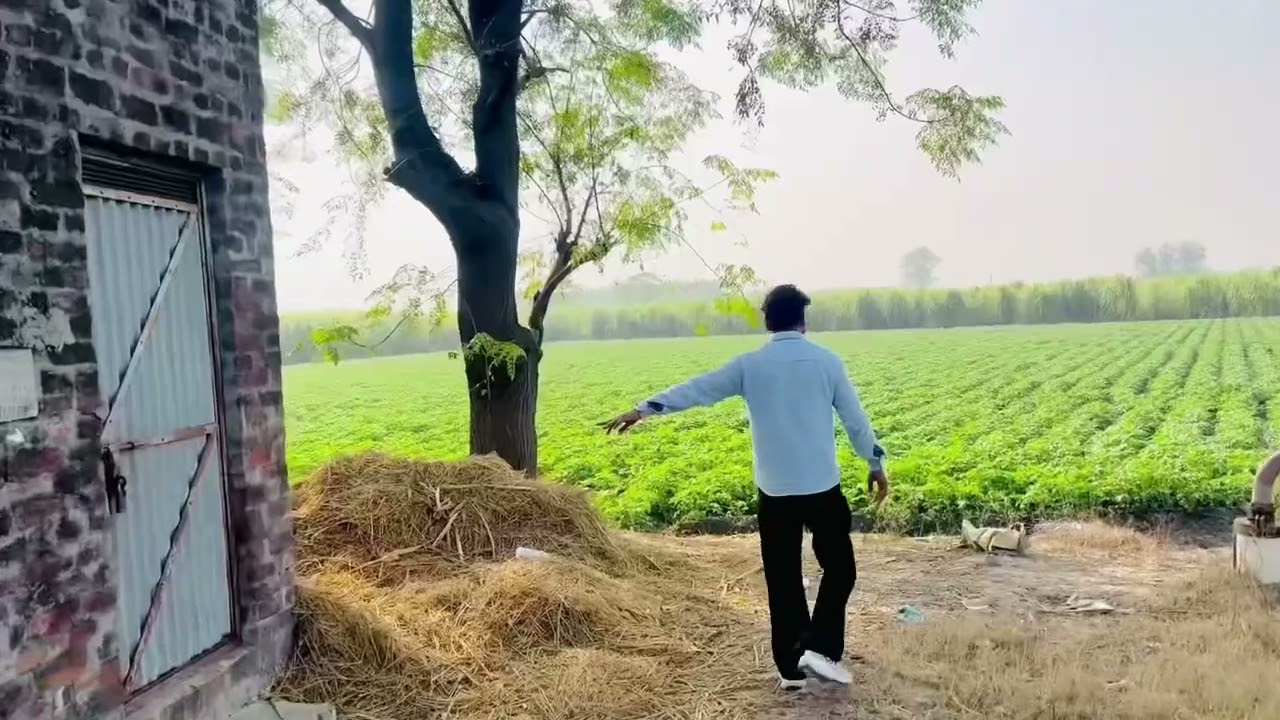 8 kila 2 kanal Pind Shyam Chaurasi #hoshiarpur #agriculturelife #bestdeals #jalandhar #youtuber 