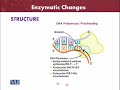 BT601 Virology Lecture No 120