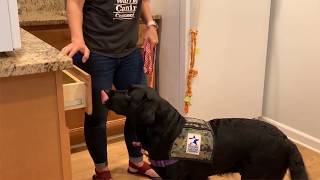 Solid Training Tip - Touch Profile