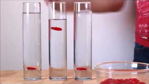 Viscosity Experiment