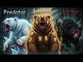 All 8 Bear Species Explained: From Tiny Sun Bear to Giant Polar Bear