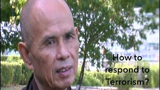 Thích Nhất Hạnh: Aggression and Terrorism  (unreleased footage from my film ONE)