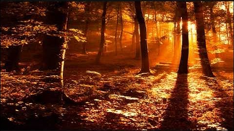 تلاوة مؤثرة رائعة للقارئ ياسر الدوسري - رمضان 1433هـ