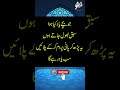 Jo Bache Yaad Kiya Hua Sabaq Bhool Jate Ho Jo Bache Yaad Kiya Hua Sabaq Bhool Jate Ho