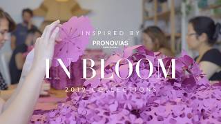 The new #PronoviasInBloom window display