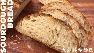 免揉天然酵母麵包 80%含水量┃How To Make Sourdough Bread No-Knead