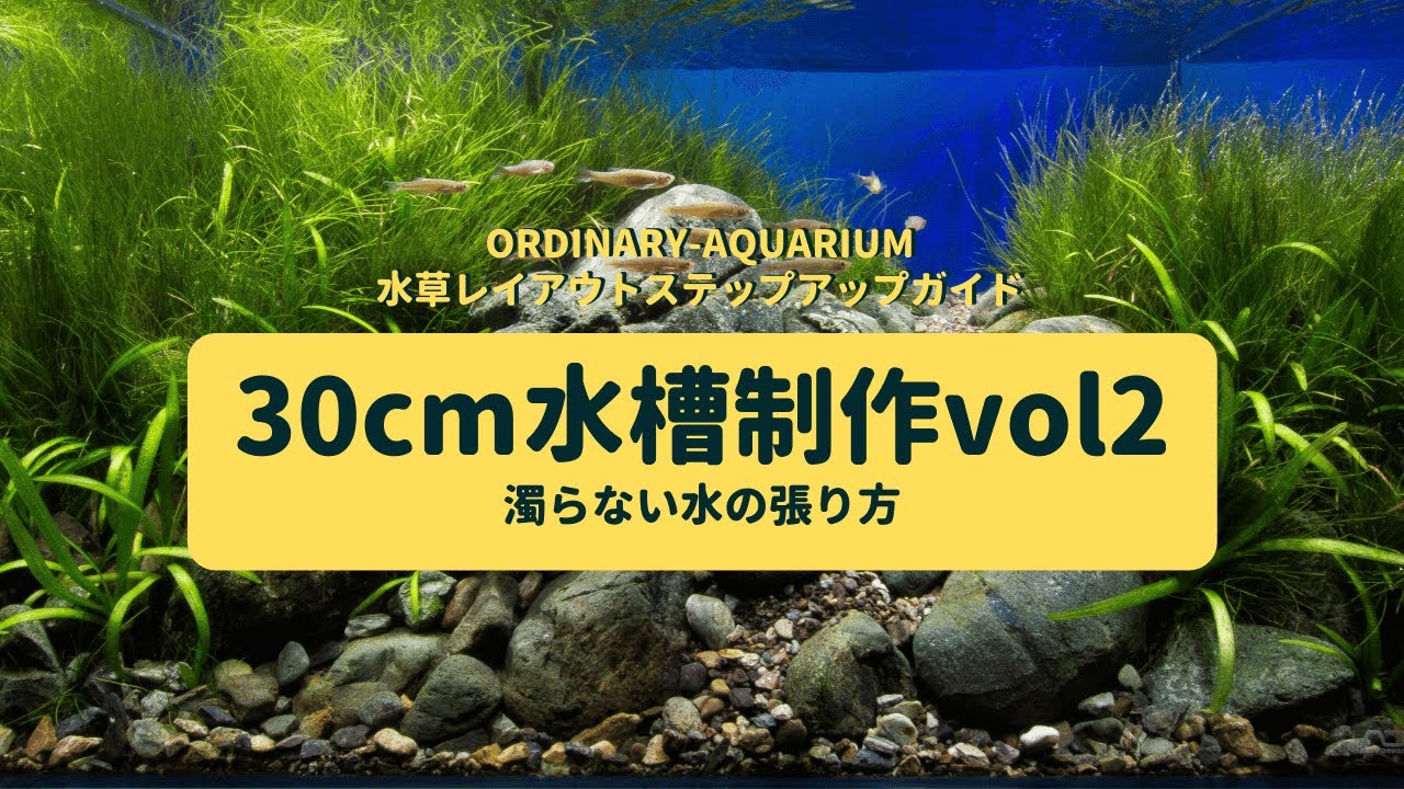 金魚を簡単に飼育する水槽を作る方法 ー必要機材 セット方法を詳しく解説ー Ordinary Aquarium