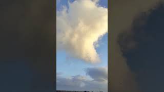 Respect 4june shorts sky Who Is There