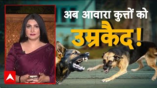 UP Stray Dog Life Imprisonment: यूपी में आवारा कुत्तें जाएंगे जेल! काटा तो होगी उम्रकैद