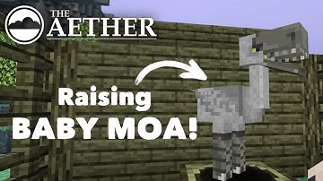 Hatching our first MOA || Minecraft Aether Let