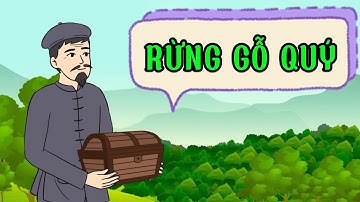 Kể chuyện: RỪNG GỖ QUÝ/ LỚP 3/ CÁNH DIỀU