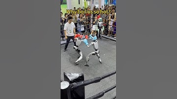 why boil us so hot #unitree #robot #robotadventure #humanrobotinteraction