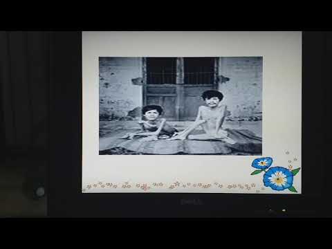 Đạo đức - Bài: Em yêu hoà bình