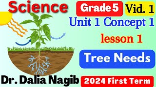 Science Grade 5 First Term 2024 Concept 1 lesson 1 Tree Needs 2024 ساينس خامسة ابتدائى المنهج الجديد